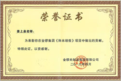 中國(guó)企業(yè)500強(qiáng)金鑼集團(tuán)榮譽(yù)證書(shū)