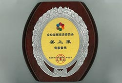 東莞市企業(yè)發(fā)展促進(jìn)委員會(huì)聘書(shū)